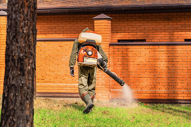 Bed Bug Clearance Verification and Documentation in Hoxie